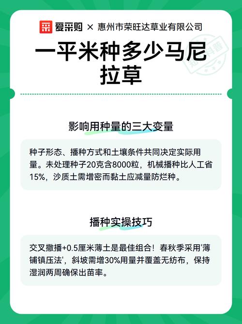 马尼拉草多少钱一平方?2025年最新价格参考及五大影响因素全解析 数量因素:批发与零售单价差距可达1.5-3倍