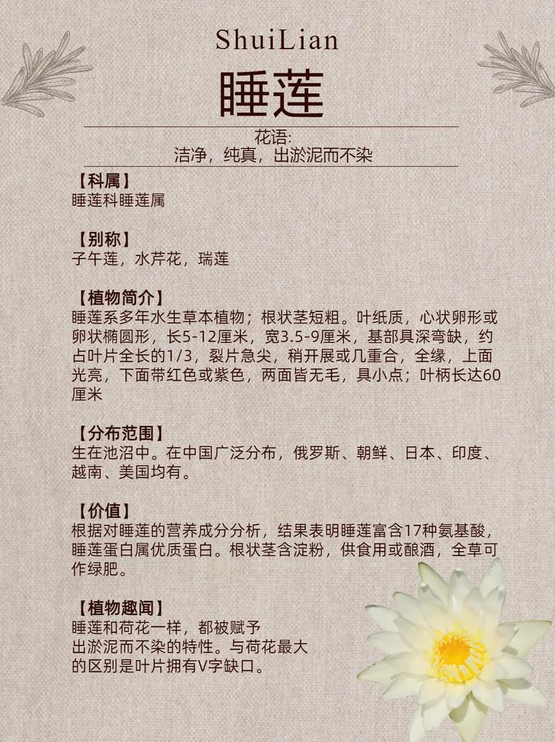 睡莲的花期长吗?从品种到养护,这份完整指南告诉你答案 常见问题(FAQ)
