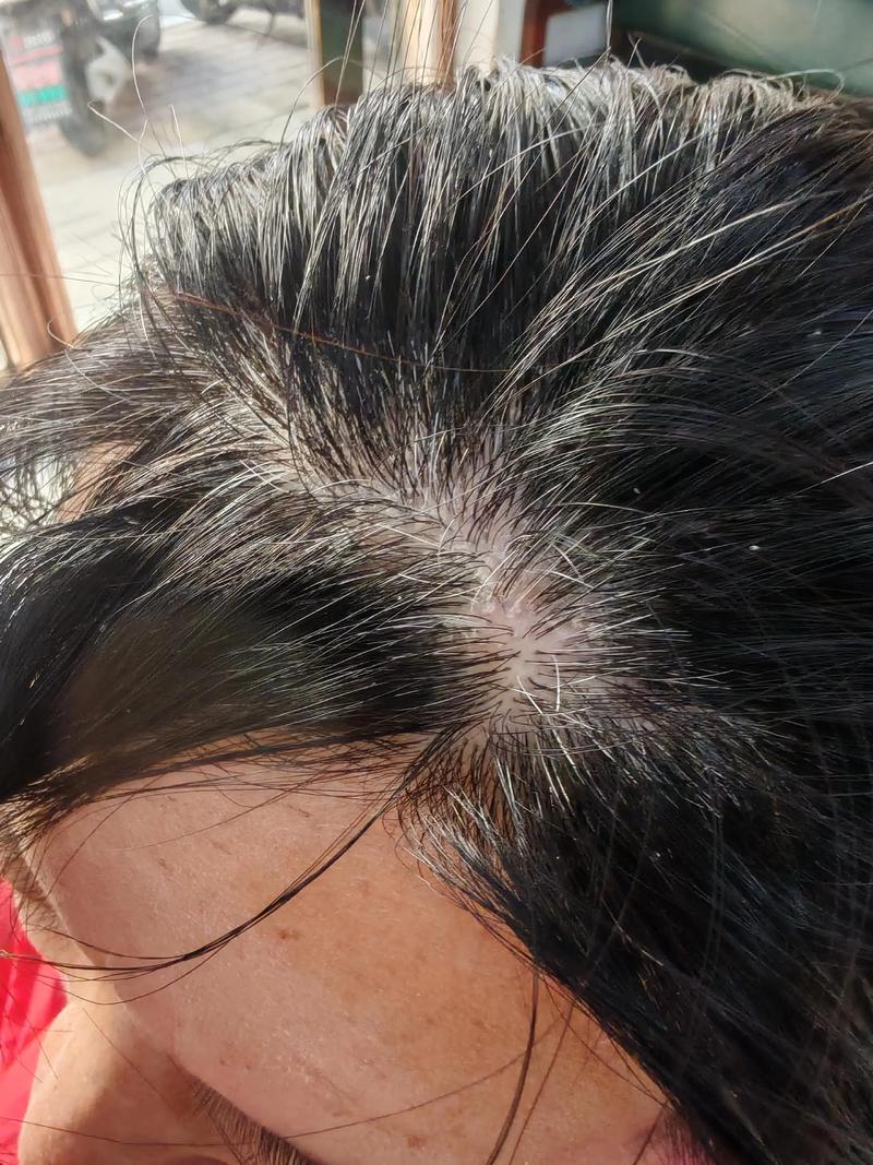 什么植物熬水可以染发?常见天然植物与使用思路分享 四、适合什么人尝试
