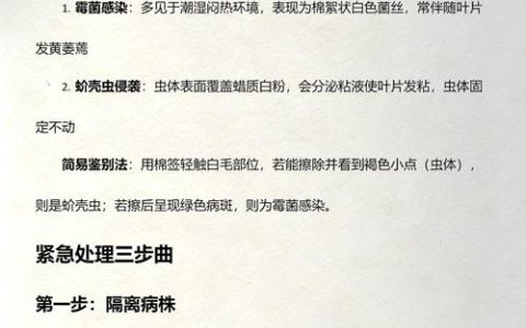 铜钱草有好多白虫怎么办？全面防治指南