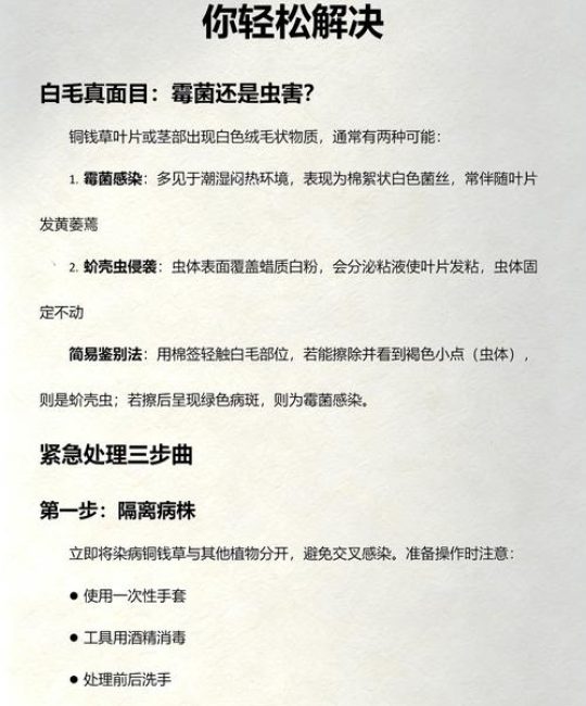 铜钱草有好多白虫怎么办？全面防治指南