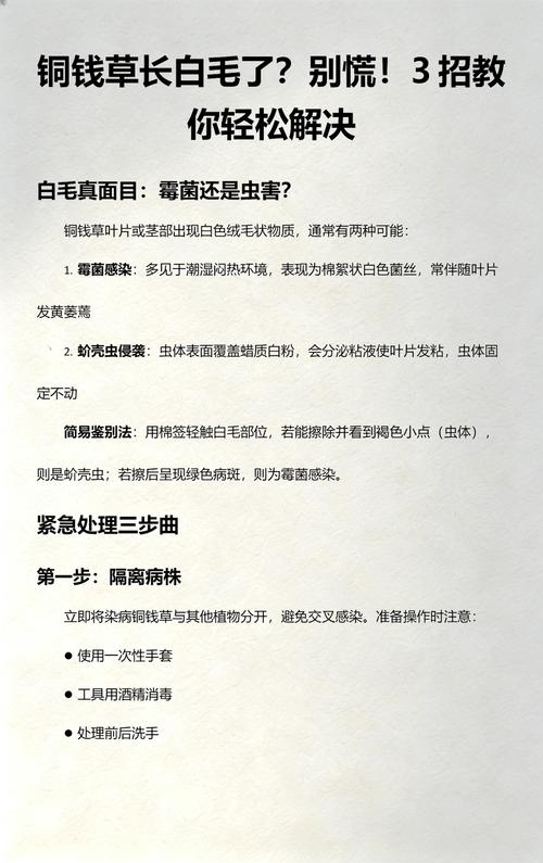 铜钱草有好多白虫怎么办?全面防治指南 一、先判断:这些白虫到底是什么?