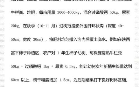 柿子树精准施肥方案：按物候期分阶段施用高钾肥与有机肥，盛果期亩产可达5000斤