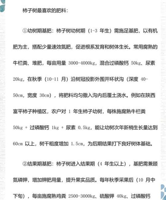 柿子树精准施肥方案：按物候期分阶段施用高钾肥与有机肥，盛果期亩产可达5000斤