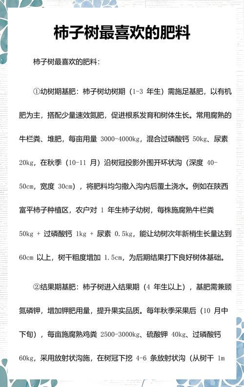 柿子树精准施肥方案:按物候期分阶段施用高钾肥与有机肥,盛果期亩产可达5000斤 柿子树精准施肥方案:按物候期分阶段施用高钾肥与有机肥,盛果期亩产可达5000斤