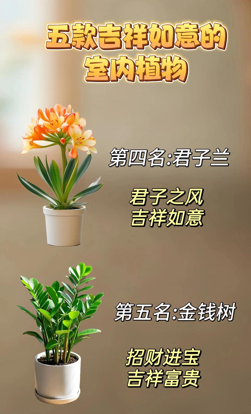 属羊人养什么花最好运气最旺?这五种吉祥花助你招财纳福 一、首选富贵竹:招财纳福,稳中有升