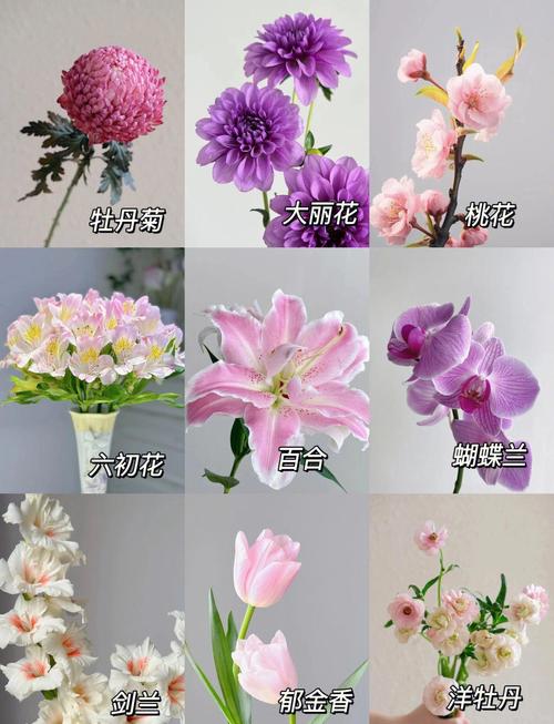 属羊人养什么花最好运气最旺?这五种吉祥花助你招财纳福 五、桂花:贵人相助,名利双收