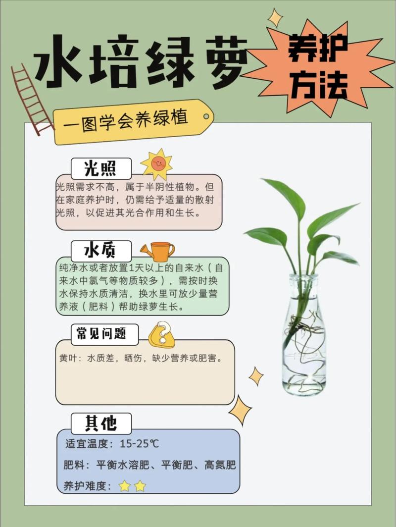 如何养好盆栽植物?从浇水到换盆的全方位家庭养护指南 浇水:干透浇透,是多数盆栽植物最安全的浇水方式