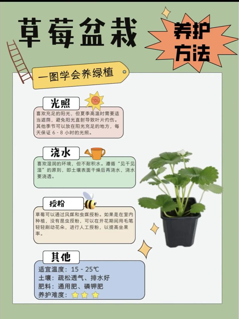 如何养好盆栽植物?从浇水到换盆的全方位家庭养护指南 光照:多数室内盆栽喜欢明亮散射光,避免暴晒