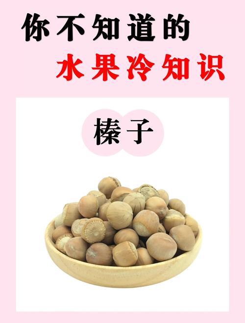 榛子与巴旦木哪个好吃?从种植到口感的六维对比,帮你一次选对 二、关键差异逻辑解释