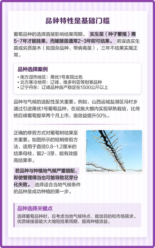 葡萄树不结果六大核心原因与解决方案 肥水失衡导致葡萄树只长叶子不结果