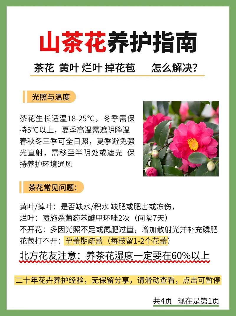 家里适合种茶花吗?手把手教你栽种养护全流程,轻松成活花开满盆 二、土壤环境