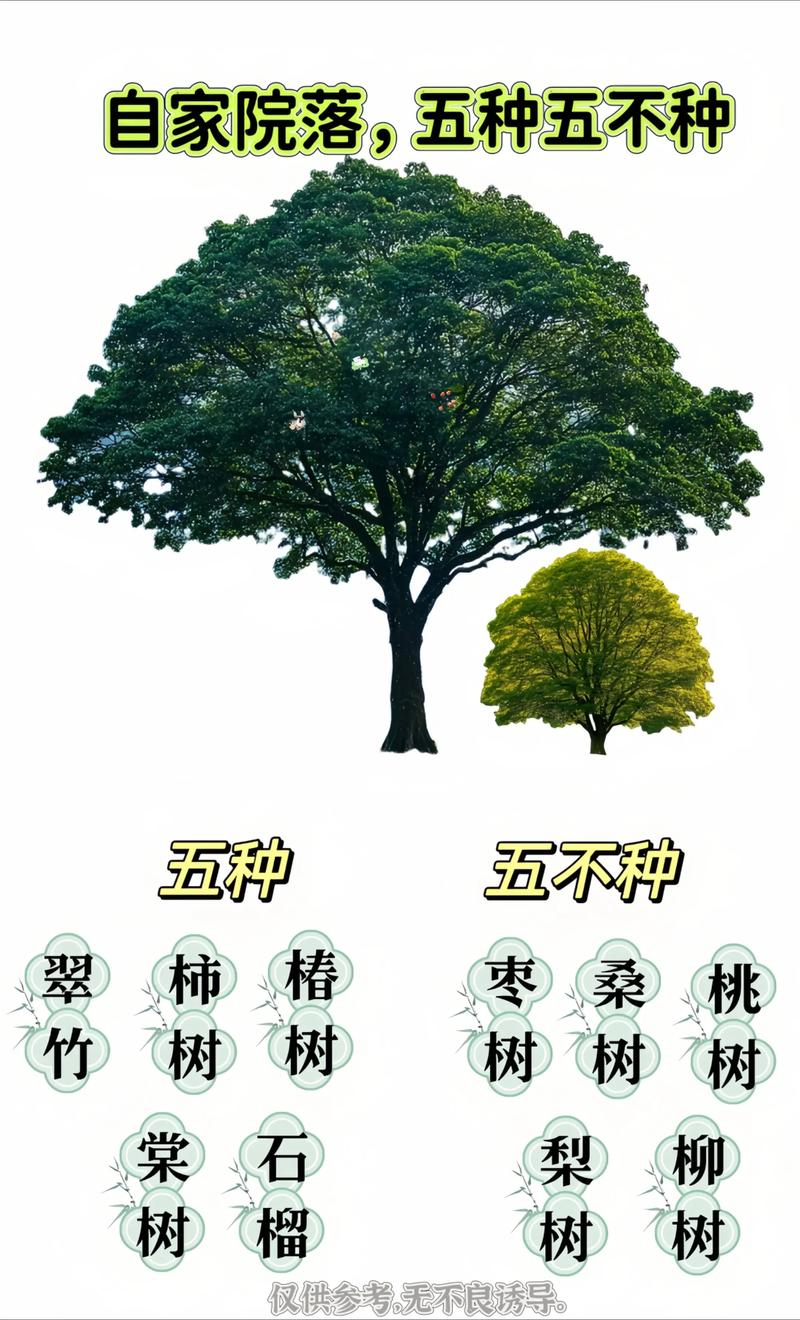 庭院里的森林:如何科学记录“一共种了多少树” 为什么需要记录树木数量?