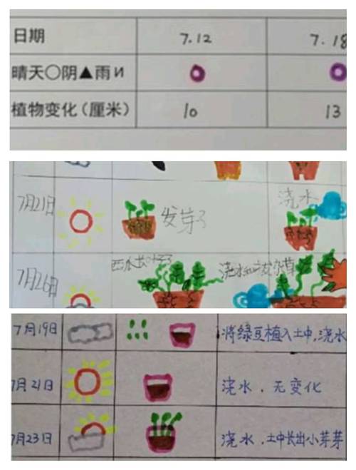 庭院里的森林:如何科学记录“一共种了多少树” 结语