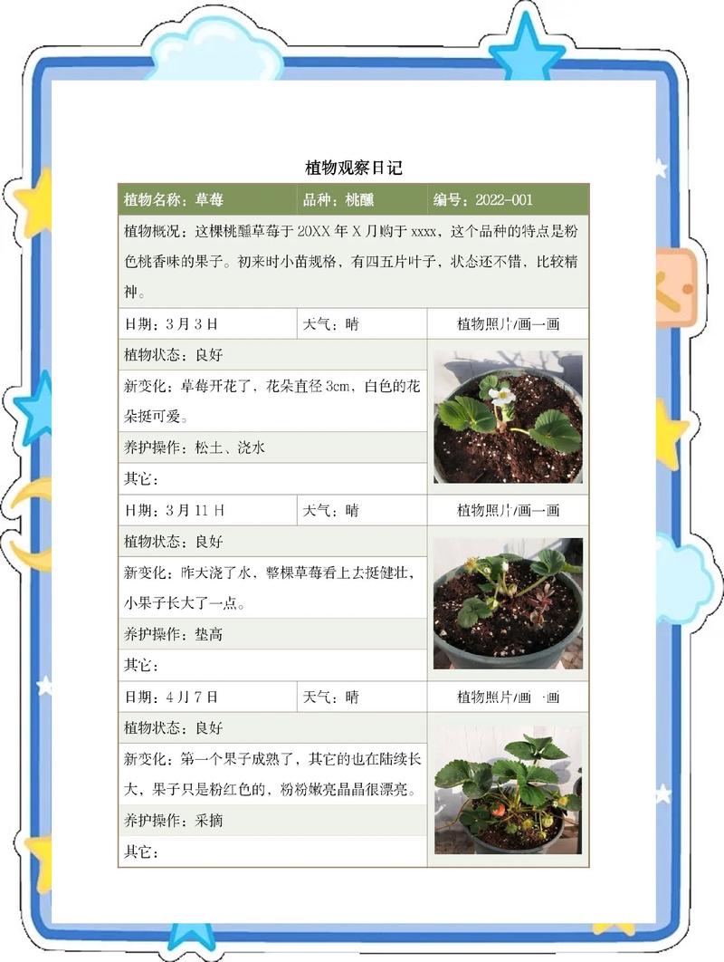 庭院里的森林:如何科学记录“一共种了多少树” 从记录走向更深的园艺