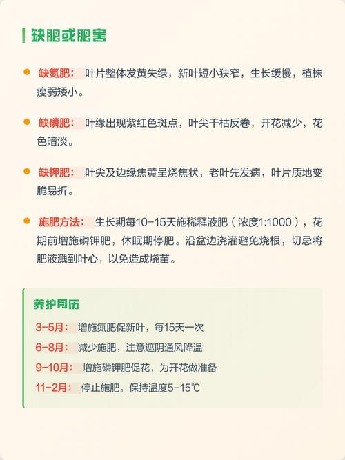 兰花叶子发黄怎么办?常见原因与实用处理技巧 四、温度不适