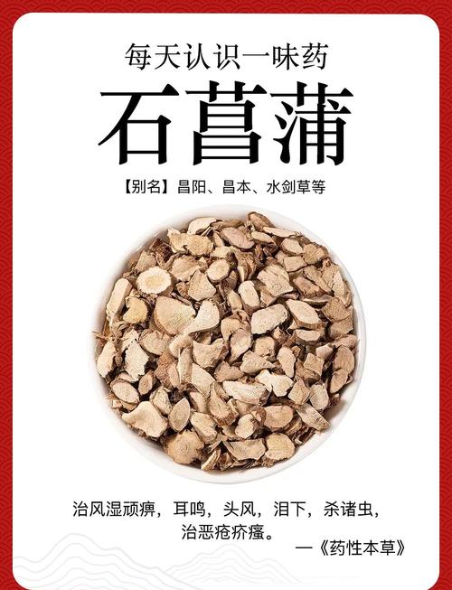 石菖蒲冬天可以种吗?从时间到养护的全流程实操指南 三、栽前处理