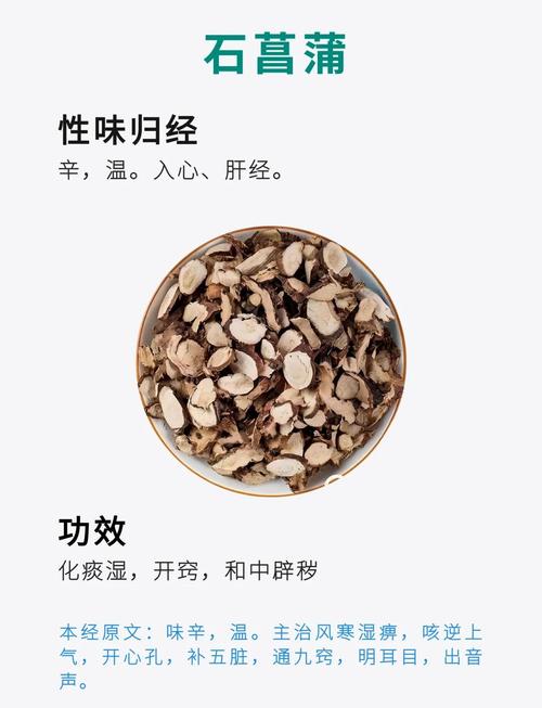石菖蒲冬天可以种吗?从时间到养护的全流程实操指南 七、成活注意事项