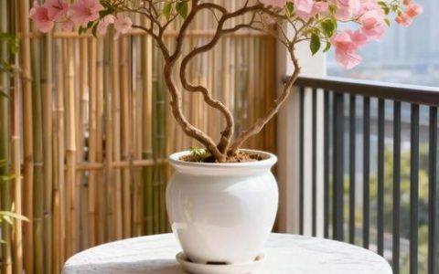 三角梅开完花以后怎么办？这份花后养护指南请收好