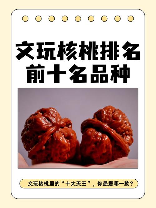 文玩核桃品种大全与种植全攻略 文玩核桃品种大全与种植全攻略