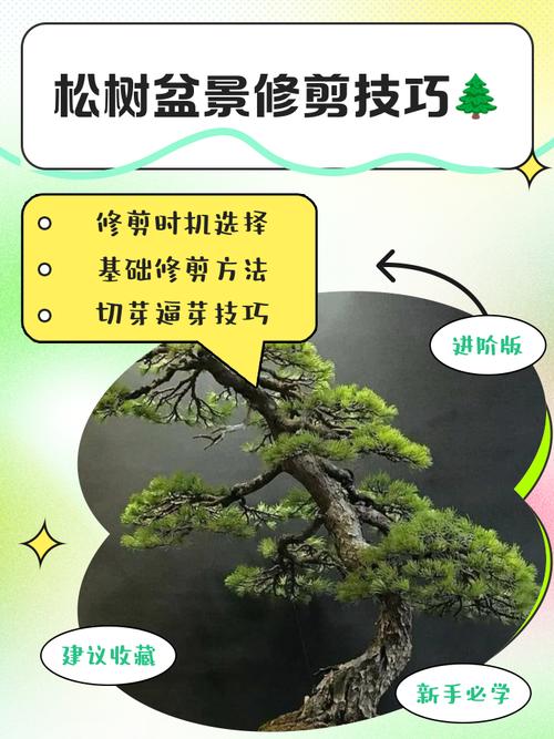 松树冬天能剪枝吗?家庭园艺冬季养护全指南 越冬越夏:冬季防寒是重点,越夏则需遮阴控水