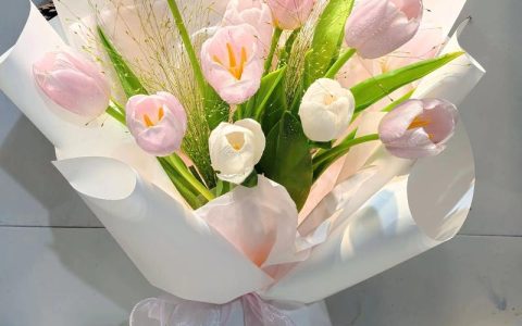 19支郁金香花束多少钱？2025年市场参考价格与选购指南
