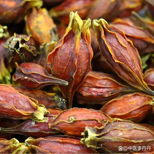 栀子花能吃吗?食用功效、禁忌及安全指南 栀子花能吃吗?食用功效、禁忌及安全指南