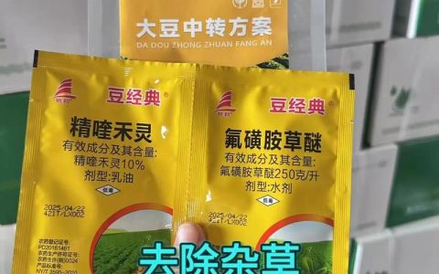 大豆田油菜苗用什么除草剂？科学防除保丰收