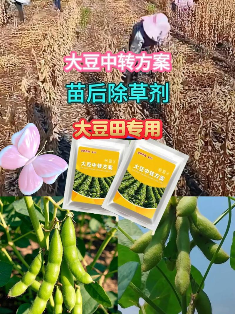 大豆田油菜苗用什么除草剂?科学防除保丰收 二、大豆田除草剂的选择原则