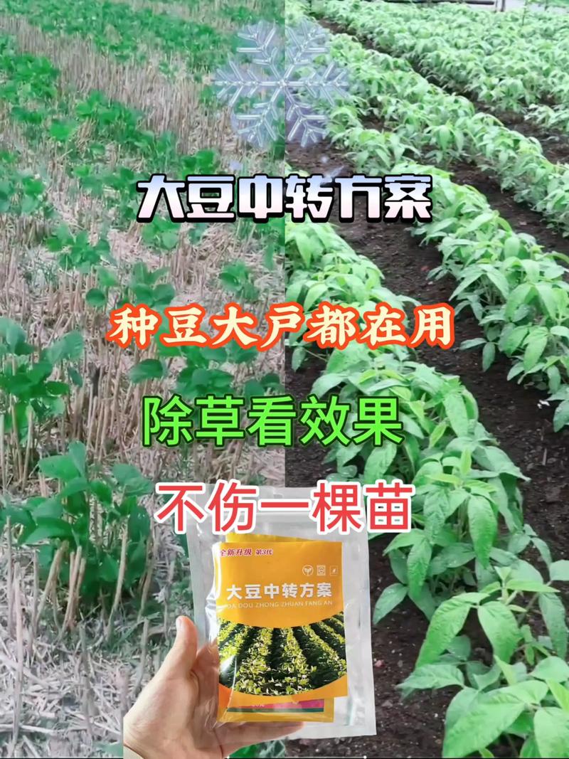 大豆田油菜苗用什么除草剂?科学防除保丰收 三、推荐药剂及使用方法