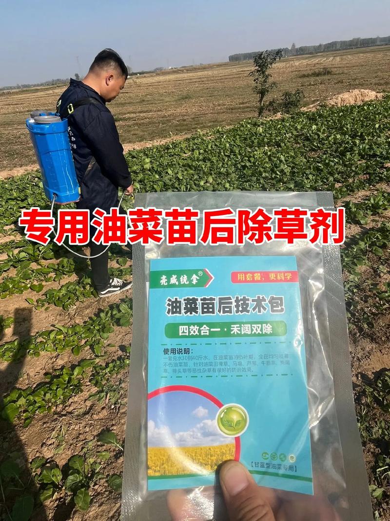 大豆田油菜苗用什么除草剂?科学防除保丰收 四、施药注意事项(必看)