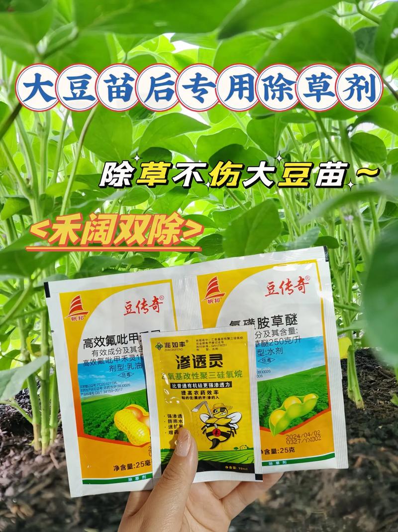 大豆田油菜苗用什么除草剂?科学防除保丰收 五、总结