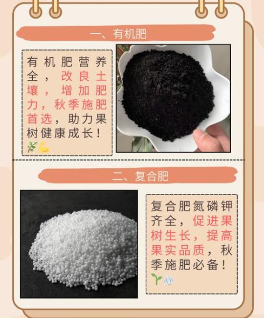 果树什么时间施肥料最好