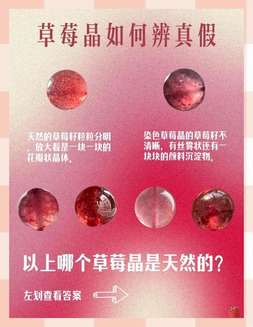 草莓种子采购指南:如何科学选择渠道,避免买到假种子 结论:适合定购 vs 不建议采购