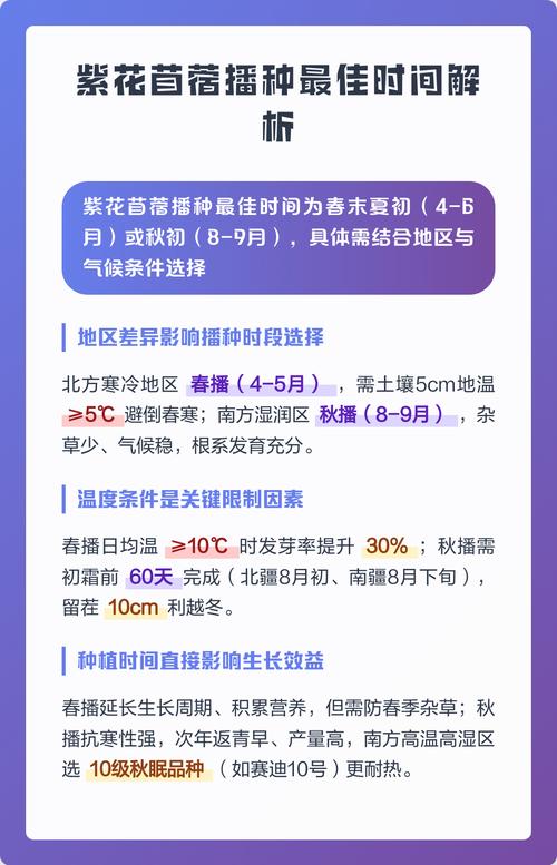 紫花苜蓿每亩需要多少种子?播种量与关键技术详解 五、总结
