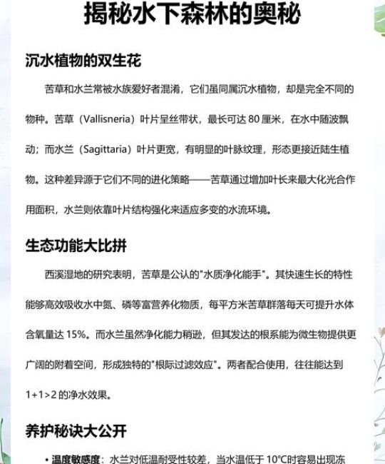 苦草是水兰吗？快速区分两种沉水植物的生态与养护要点