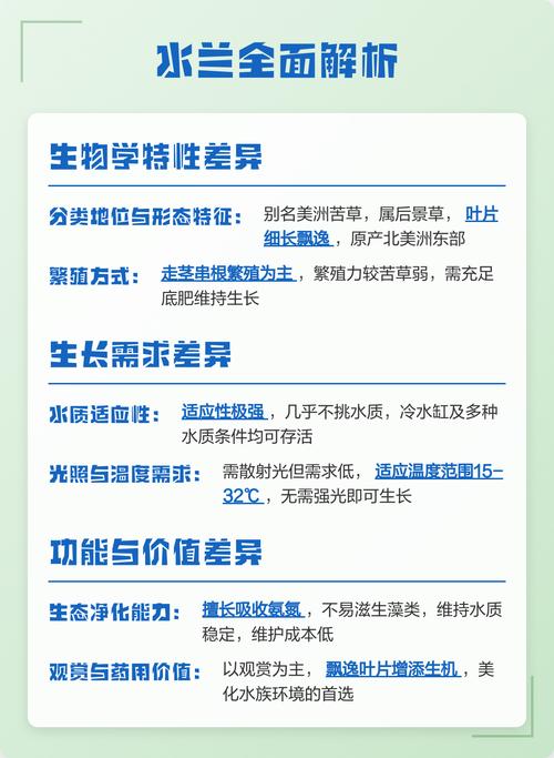 苦草是水兰吗?快速区分两种沉水植物的生态与养护要点 常见错误与纠正
