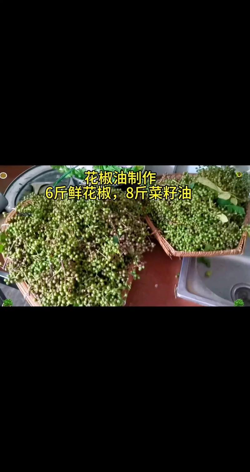 花椒籽能压油吗?园艺与厨房里的新发现 花椒籽油的用途与园艺启示