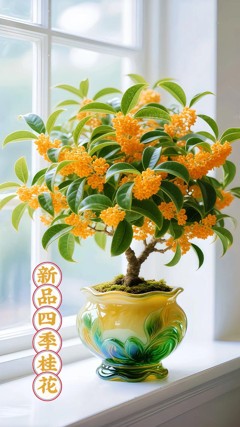桂花用什么花盆最合适?这些细节决定成败 桂花用什么花盆最合适?选对盆,才能香满园