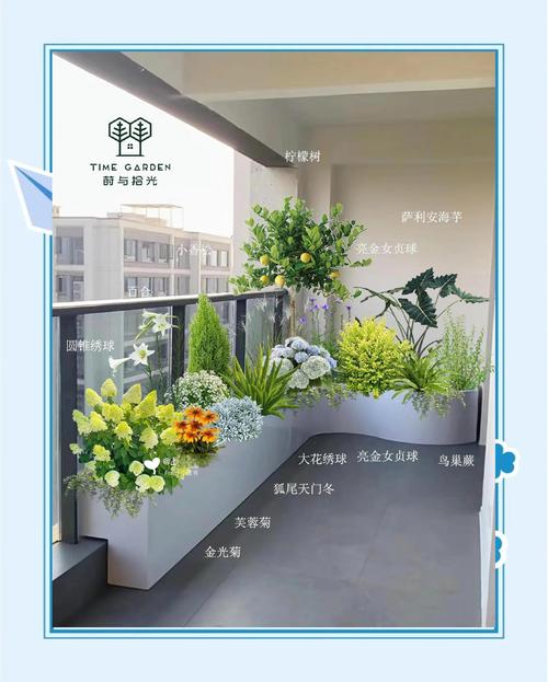 阳台盆栽花椒树可行吗?园艺设计师的全方位养护指南 阳台盆栽花椒树全方案