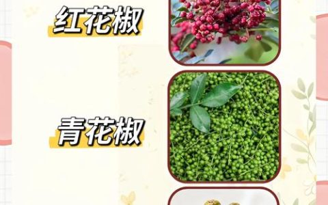 红花椒与青花椒的区别：口感、功效及选购指南
