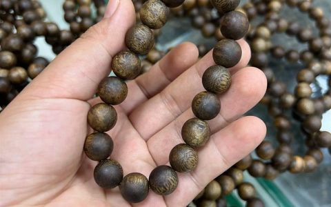 种奇楠沉香有前途吗？全面分析种植前景与风险