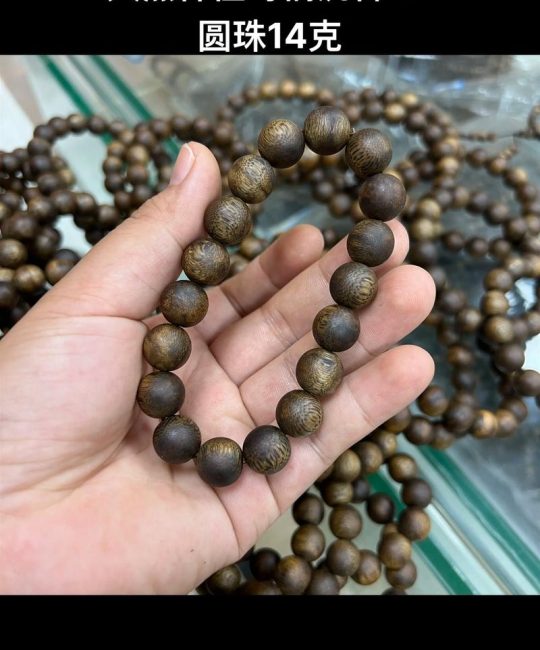 种奇楠沉香有前途吗？全面分析种植前景与风险