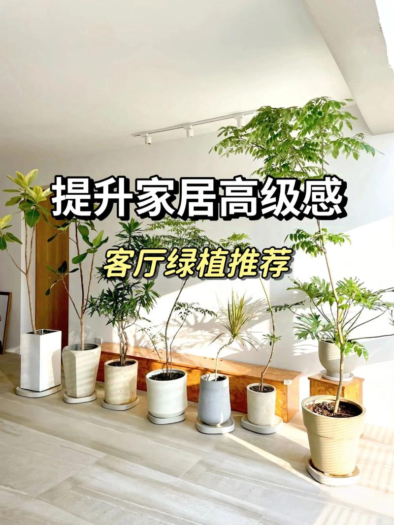 客厅植物推荐:科学选绿植,打造清新健康家居空间 推荐品种三:龟背竹(Monstera deliciosa)