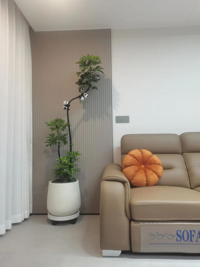 客厅植物推荐:科学选绿植,打造清新健康家居空间 客厅植物养护通用要点