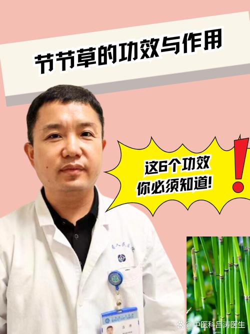 节节草有什么作用?了解它的食用、药用价值与安全风险 三、安全性板块:必须警惕的风险