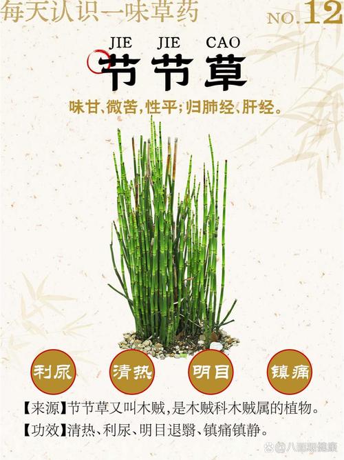 节节草有什么作用?了解它的食用、药用价值与安全风险 五、标准警示语