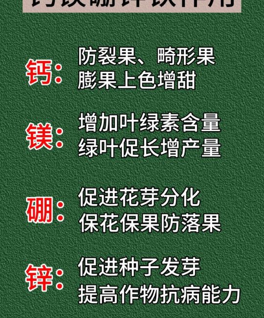 葡萄上色期用对肥料，果粉厚、糖度高、上市早——核心是钾肥配合磷与微量元素