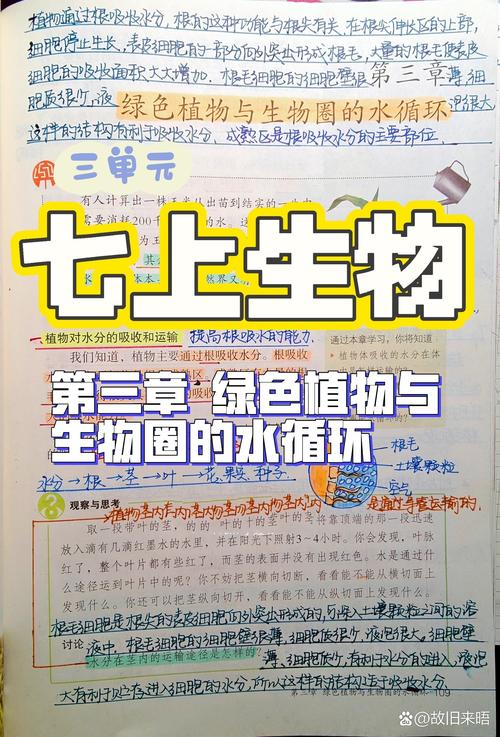 水为植物提供了什么:从细胞到光合作用的生命之源 二、养分运输的“高速公路”
