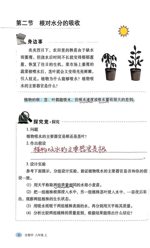 水为植物提供了什么:从细胞到光合作用的生命之源 三、维持细胞膨压——植物的“骨架”
